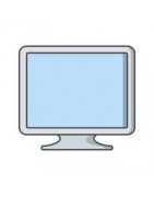 Monitory